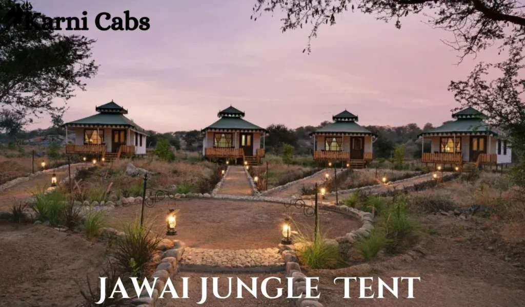 Jawai jungel Leopard Safari tent