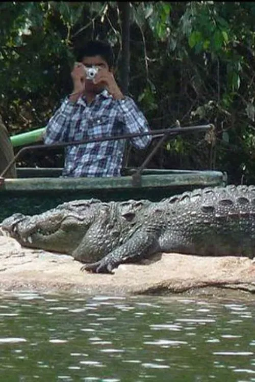 chambal safari