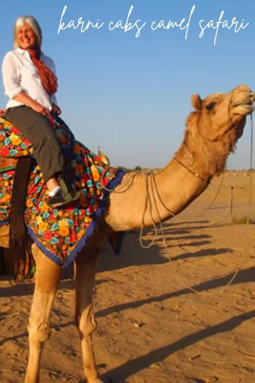 jaisalmer camel safari