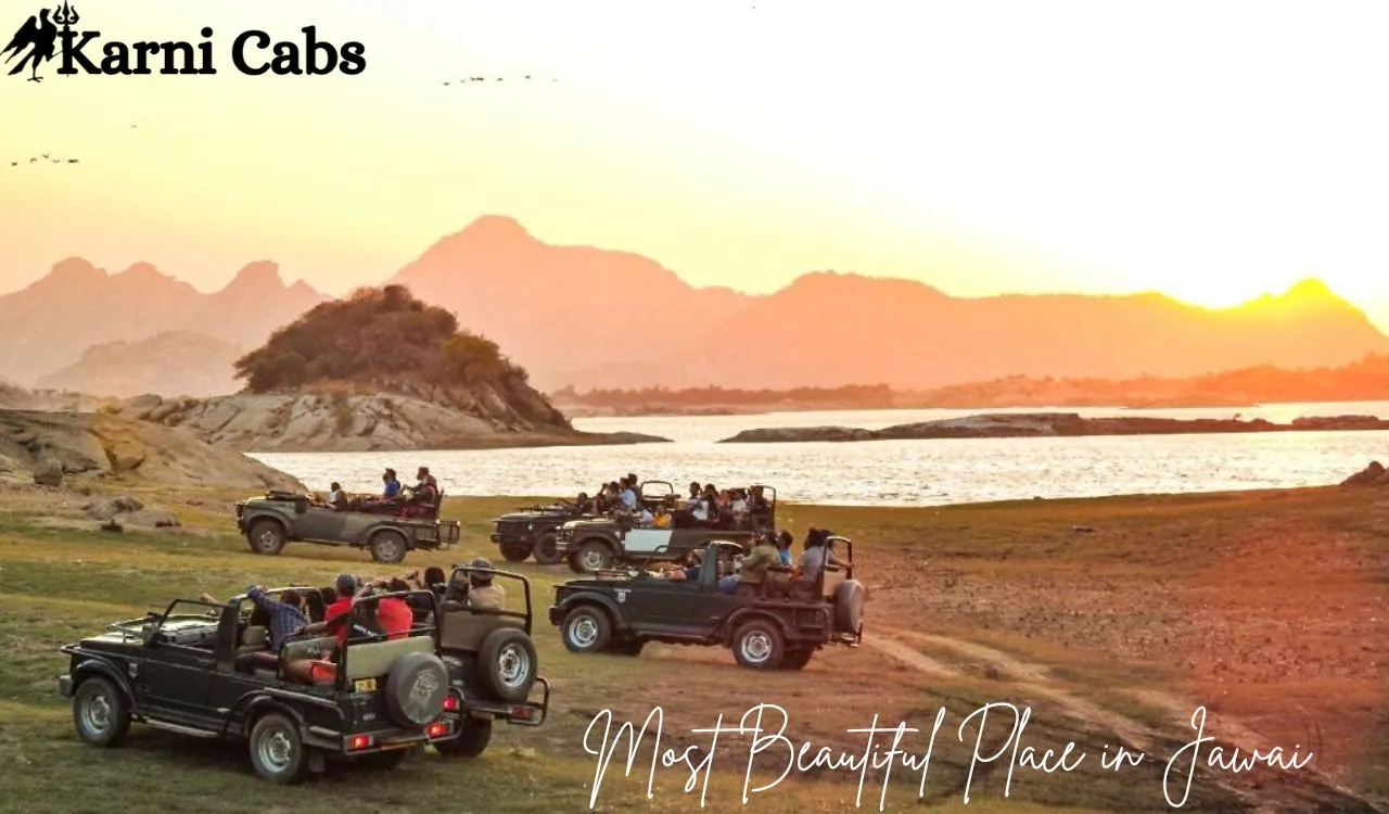 lepord safari jawai full day safari